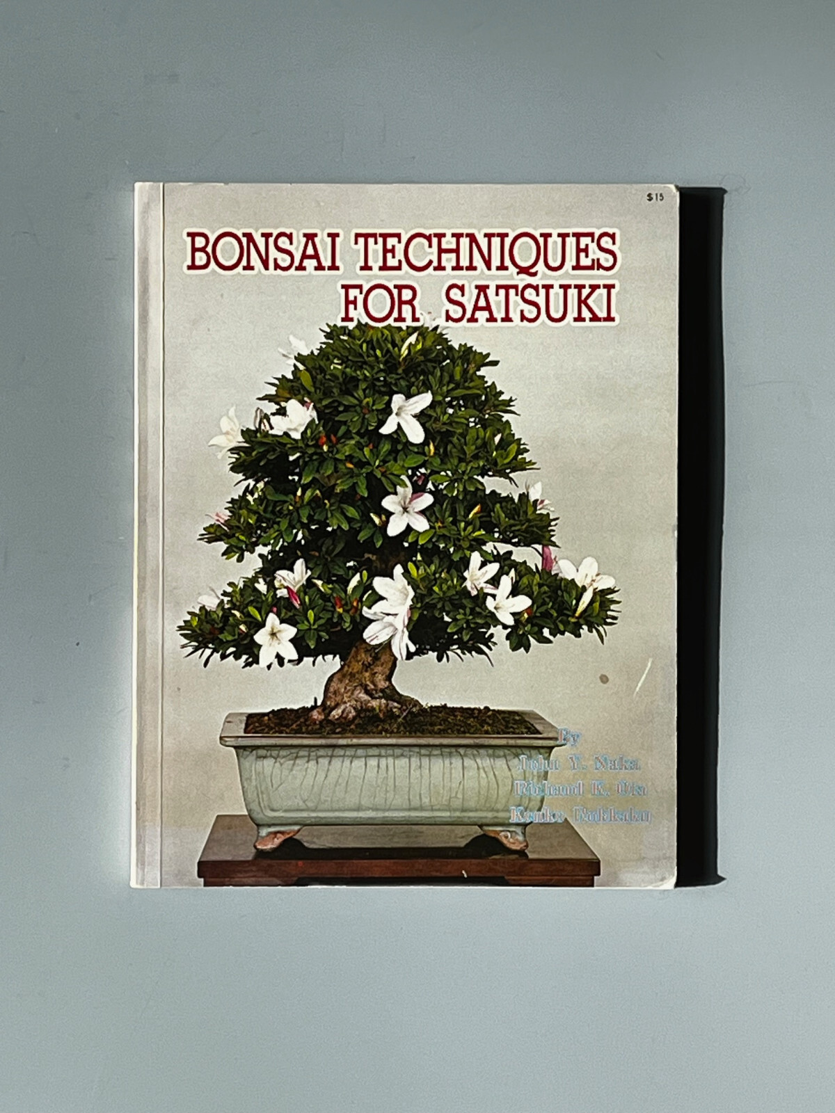 Bonsai: A Patient Art 洋書 Bonsai: A Patient Art 洋書