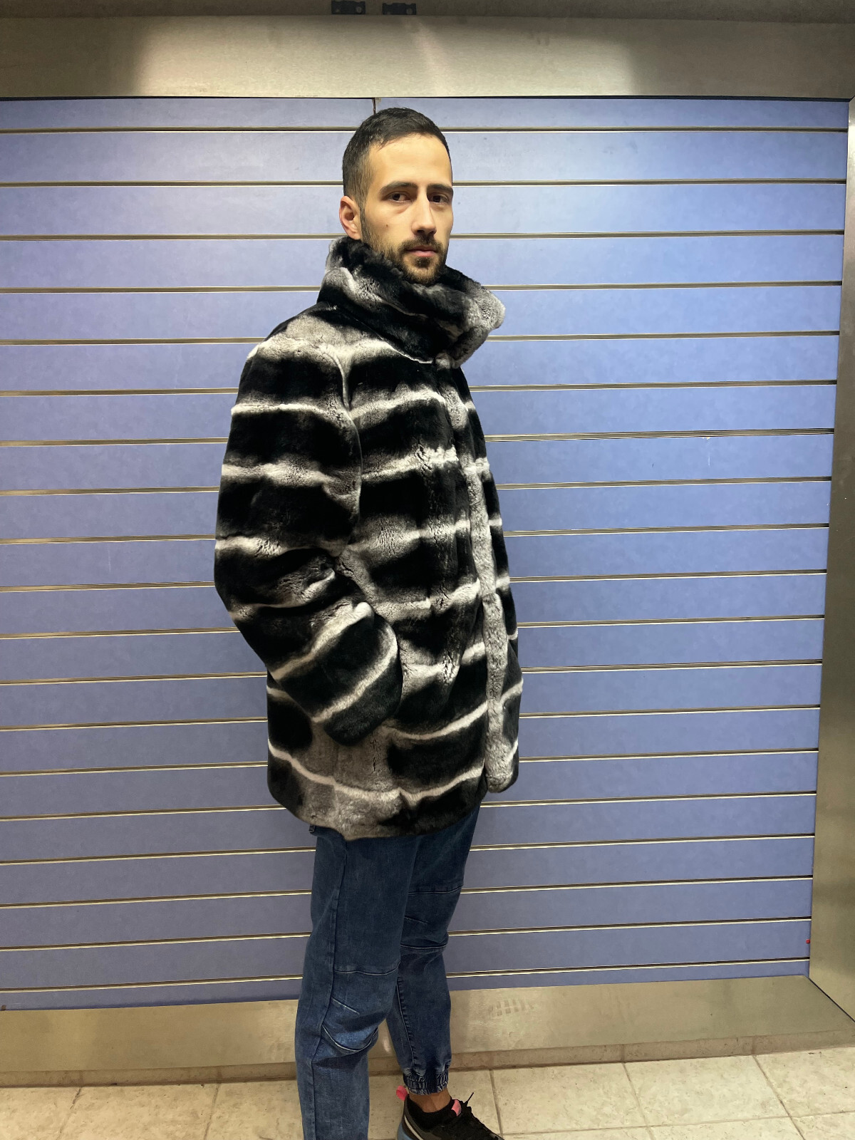 Pre-owned Fenzo Furs Luxury Rex Chinchilla Coat Real Rex Rabbit Fur Full Skin Coat With Collar In Multicolor
