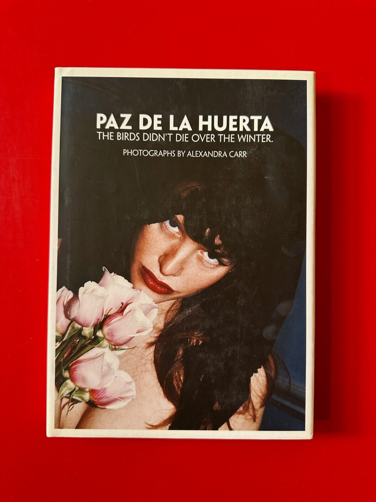Paz De La Huerta - The Birds Didn’t Die Over The Winter - Alexandra Carr - Used Paz De La Huerta - The Birds Didn’t Die Over The Winter - Alexandra Carr - Used