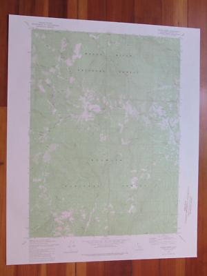 Dutch Creek California 1980 Original Vintage USGS Topo Map