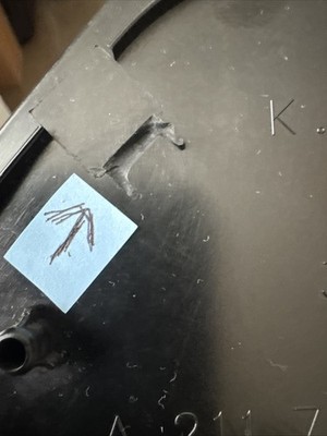Artikelfoto(s) von einem verifizierten Käufer