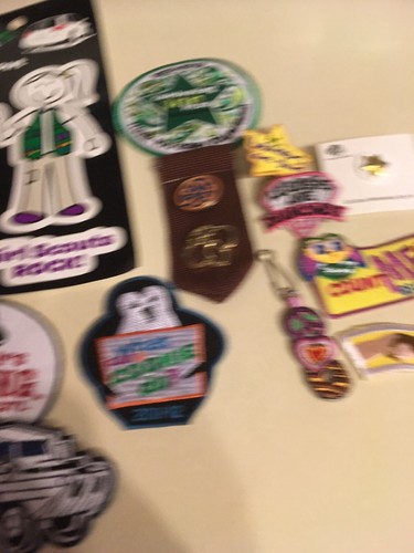 Girl Scout PIn Lot Brownie Awards Brown Ribbon Daisy Award Enamel *