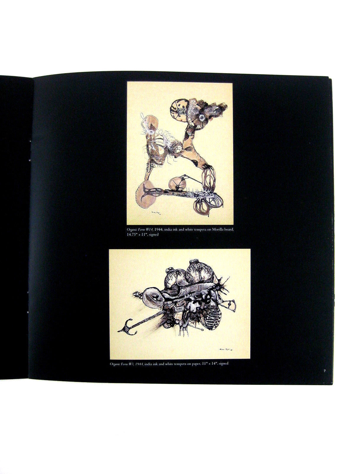 Charles Seliger Surreal Biomorphic Drawings Art Exhibit Catalog New York 1997