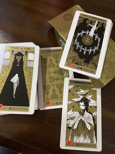 New Maya Mineo Tarot Card Book illustration Japan Limited