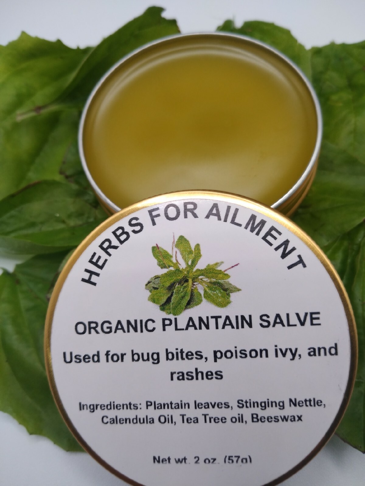 Organic Plantain Broad Leaf Salve Itchy skin,Bug Bites,Rashes 2 oz (56g)