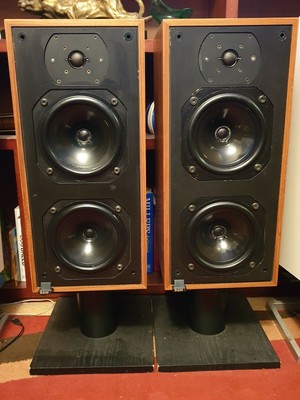 bowers and wilkins dm14