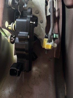 Fotos del artículo de un comprador verificado
