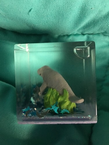 Manatee Lowry Park Zoo Tampa Fl Snow Cube With Sequins