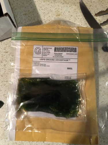 Item photo(s) from verified buyer