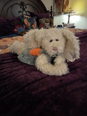 Artikelfoto(s) von einem verifizierten Käufer