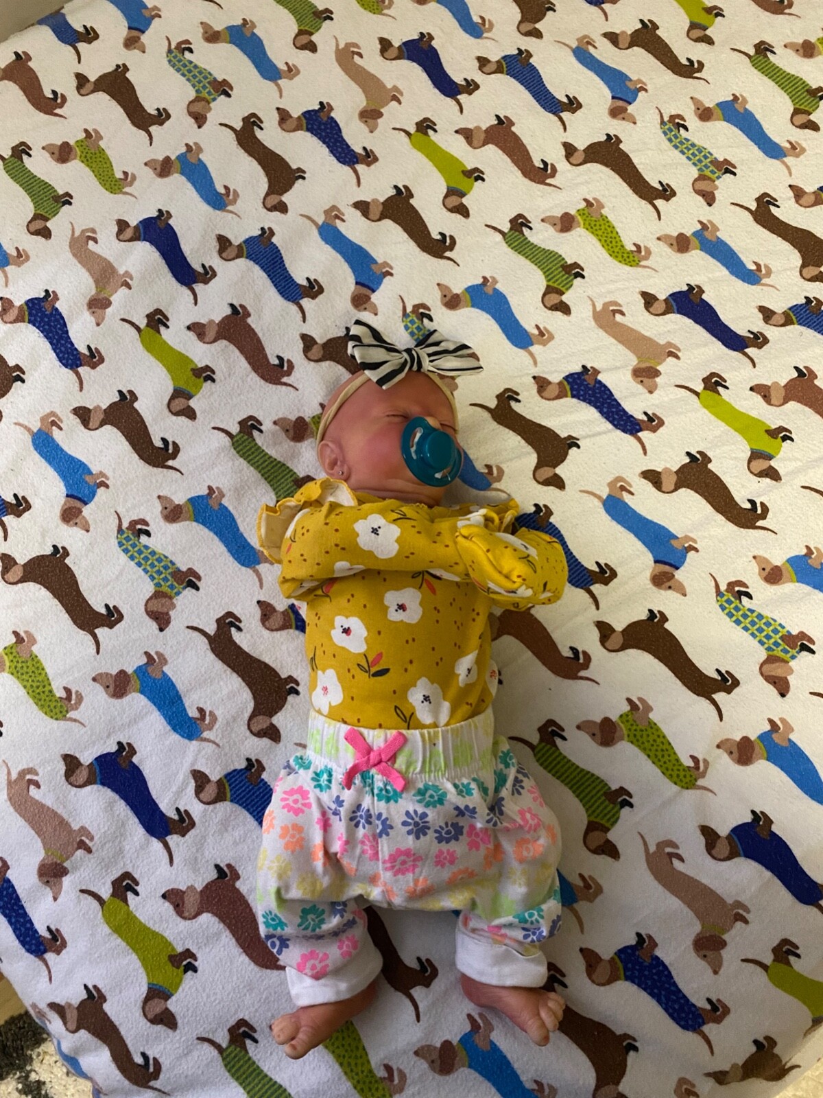 Hand Painted