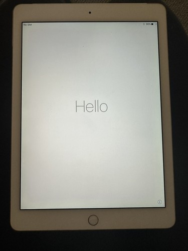 Apple iPad Air 2 16GB, Wi-Fi + Cellular (Unlocked), 9.7in