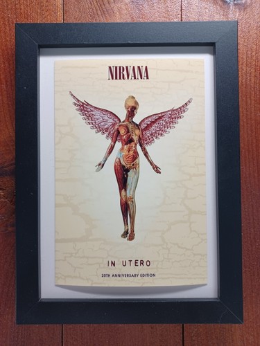 s*p様 【美品】NIRVANA IN UTERO 20TH ANNIVERSA Nirvana - In Utero (20th Anniversary Edition) - Music