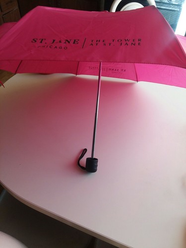 Compact Umbrella Rain Shed  St Jane Tower