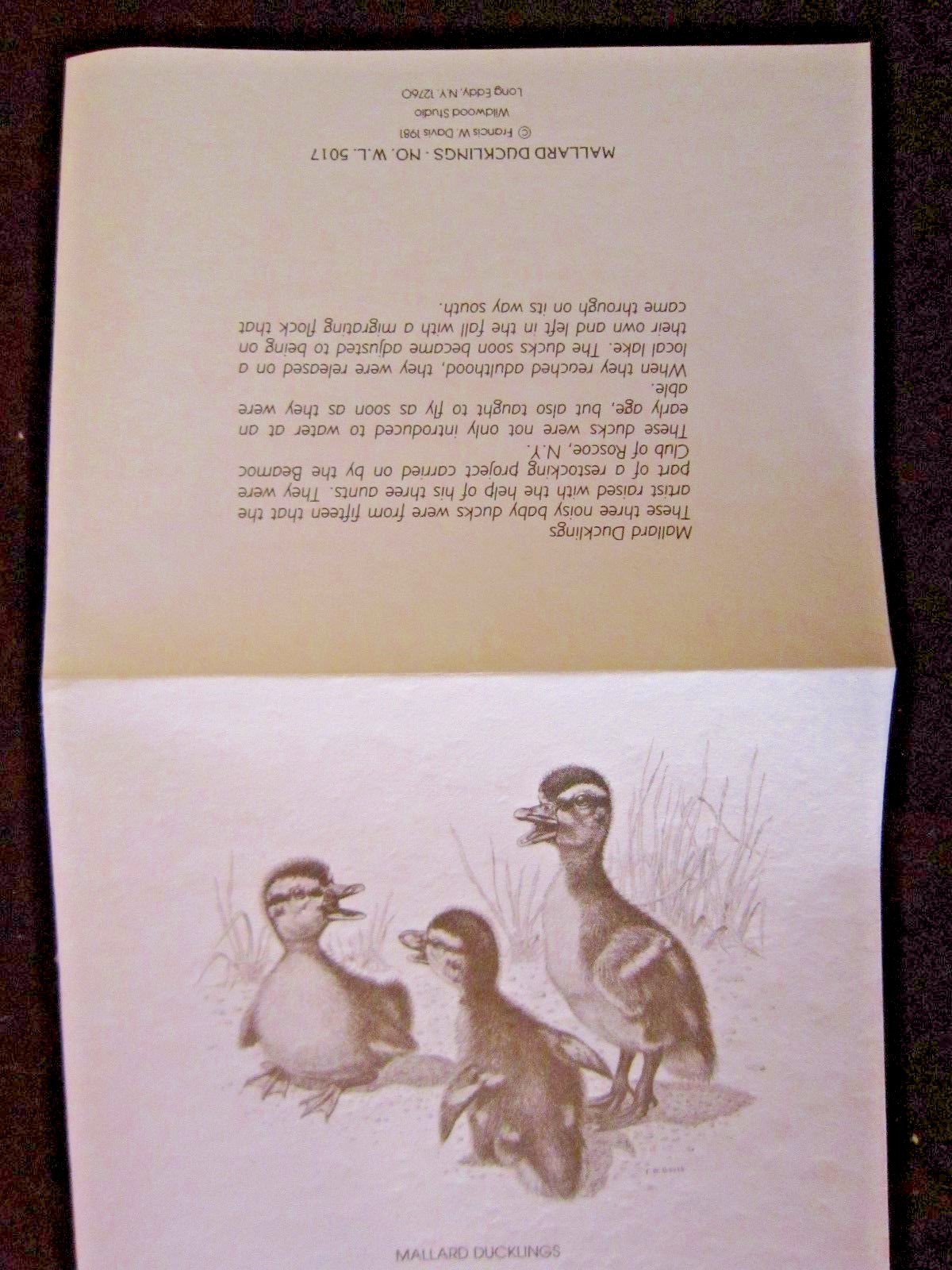 Baby Ducklings Boxed Note Cards with 10 Cards & 10 Envelopes Per Box