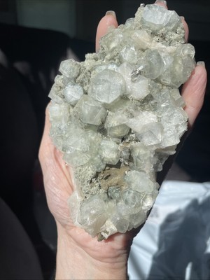 Fotos del artículo de un comprador verificado