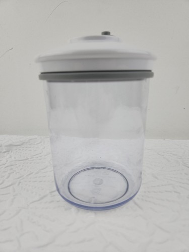 Clear Snail Ky-114 (4" X 5⅞")