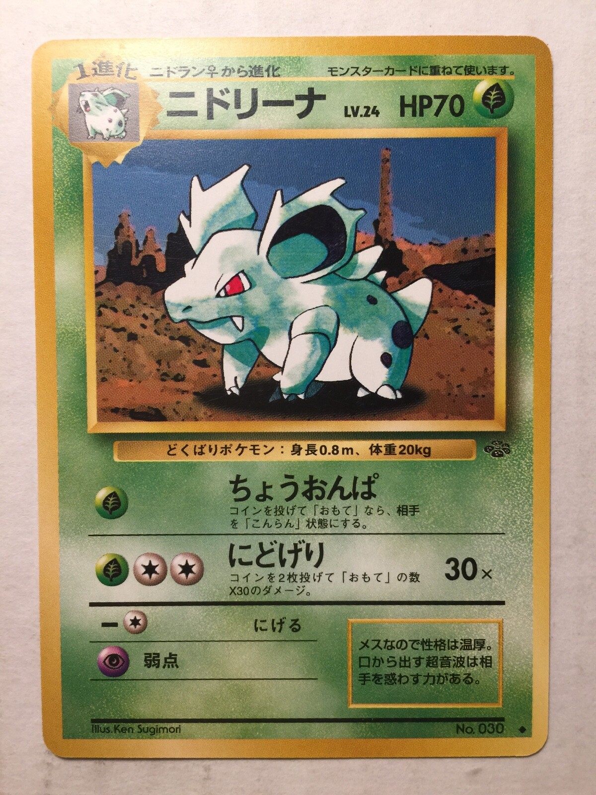 アメリカ購入品 Nidorina Pokemon Card Japanese Jungle Nidorina (40/64) No.30 Vintage