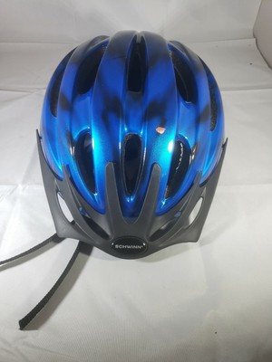 schwinn intercept helmet
