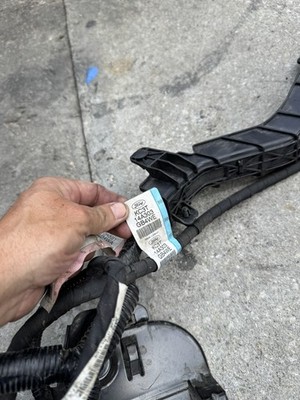 Fotos del artículo de un comprador verificado