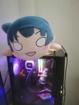 Seiryuu Koi Carp (@seiryuukoi) • Instagram photos and videos