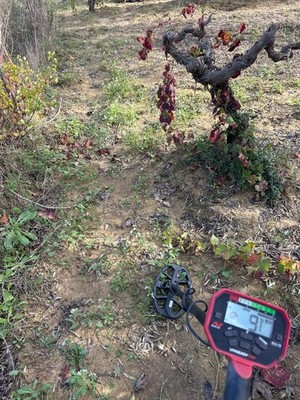 Fotos del artículo de un comprador verificado