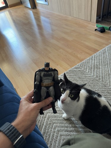 Artikelfoto(s) von einem verifizierten Käufer