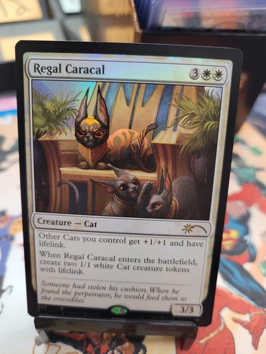 MTG Secret Lair A Box of Rocks 未開封 新品 MTG Secret Lair A Box of Rocks 新品未開封 SLD｜まとめ売り