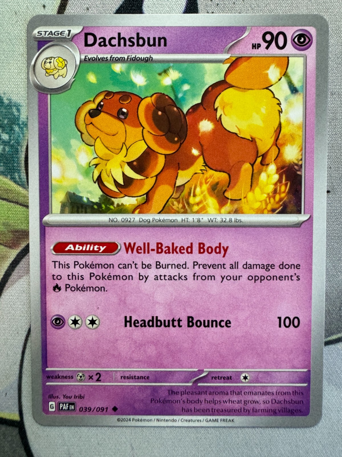Dachsbun Non Holo English Pokemon TCG BKAM606 | eBay