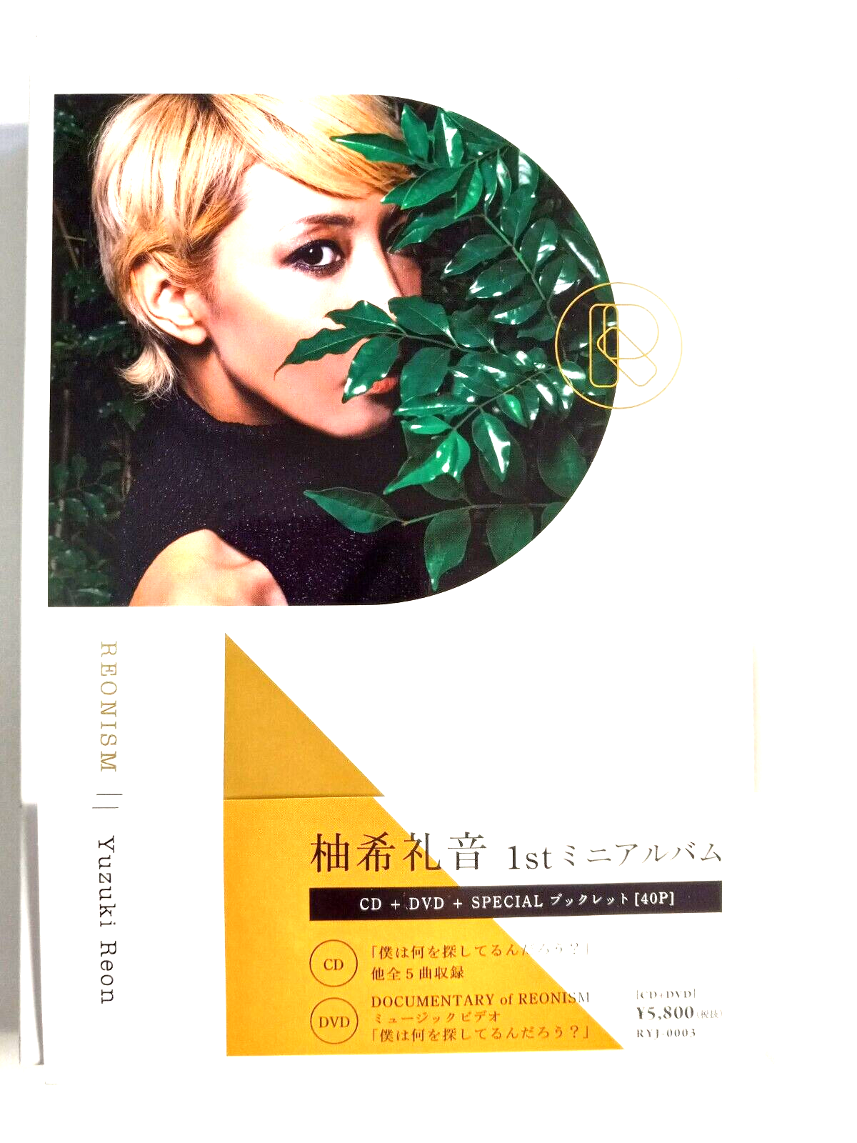 柚希礼音Special D V D-BOX Reon Yuzuki「柚希礼音」〈 Amazon