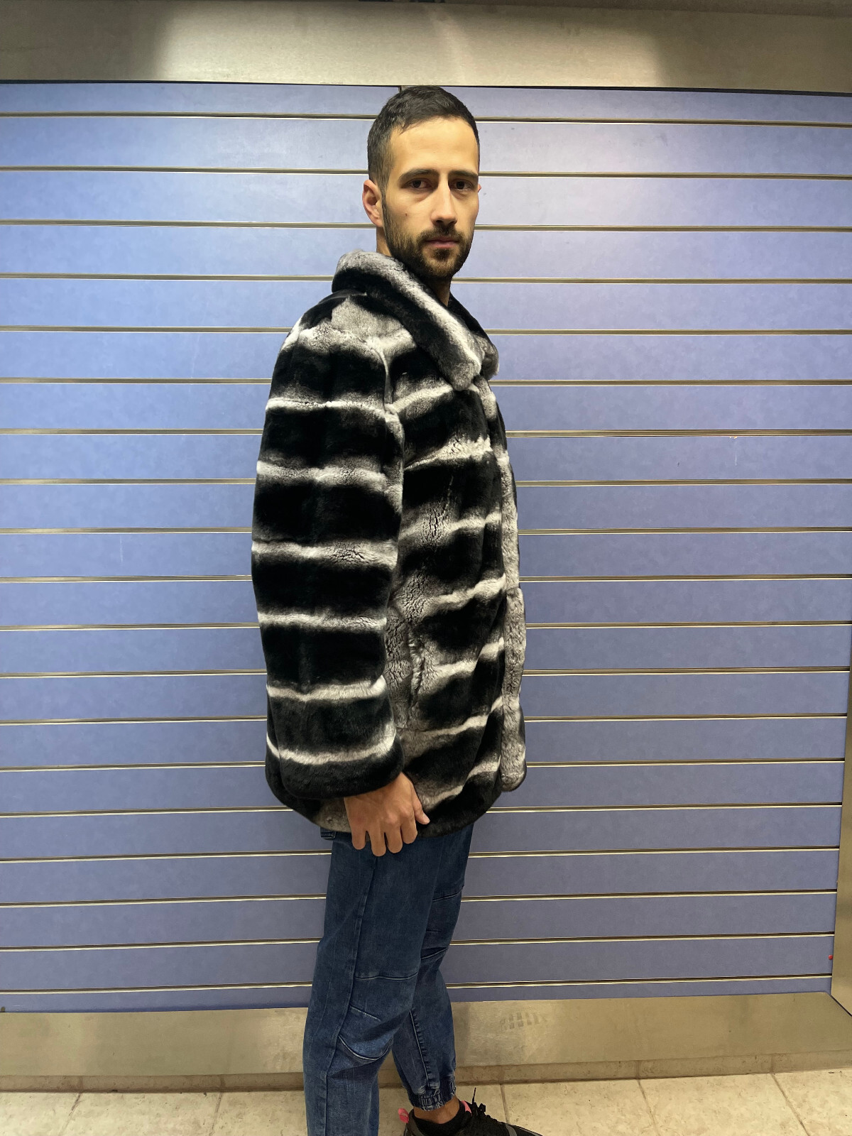 Pre-owned Fenzo Furs Luxury Rex Chinchilla Coat Real Rex Rabbit Fur Full Skin Coat With Collar In Multicolor