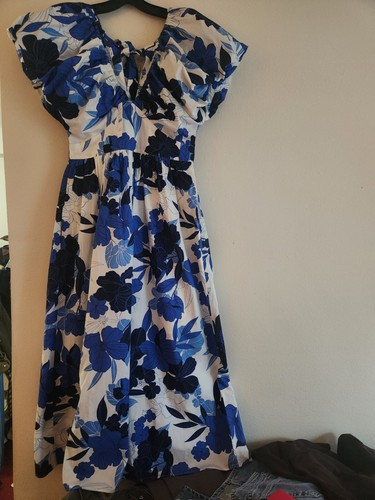 Jcrew Cecily dress in painted floral print Blue Sizes: 4 NWT