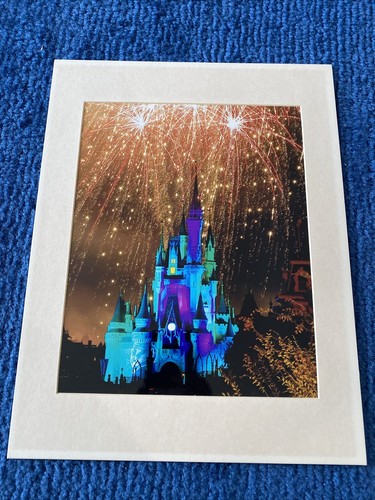 アンティーク　30年前　Walt Disney World プレート　2枚セット アンティーク 30年前 Walt Disney World プレート 2枚セット