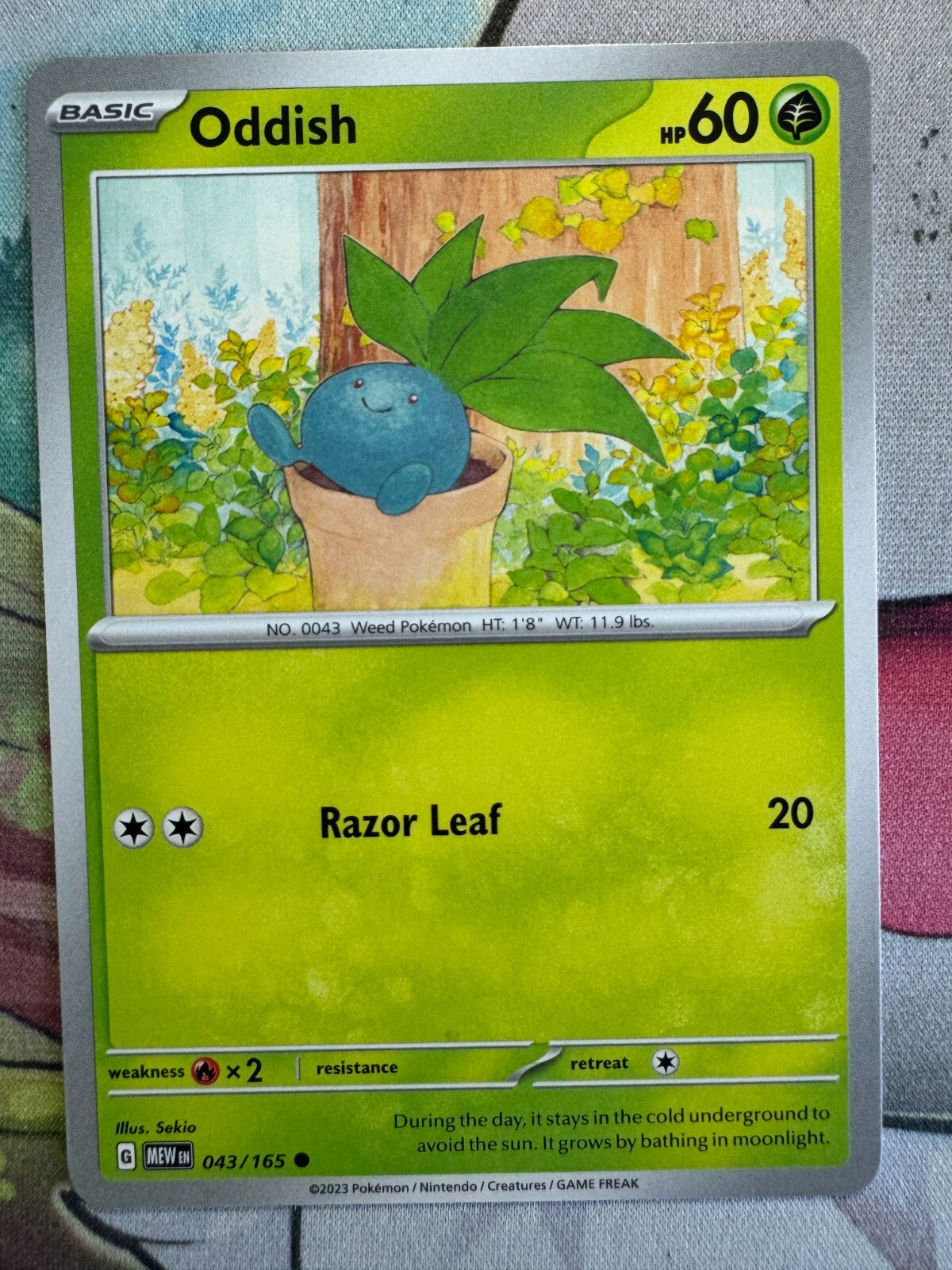 バンギラス NON-HOLO 1ED 海外版 英語版 ランクB Oddish Non Holo English Pokemon TCG BKAG248 | eBay