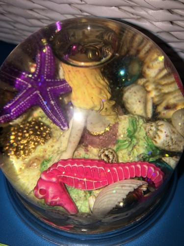 St Martin Maarten Mermaid Sea Shell Snow Globe Pink Tail Sea Horse Star Fish