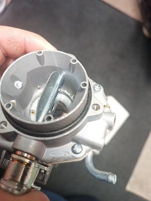 Artikelfoto(s) von einem verifizierten Käufer