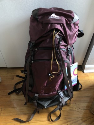 gregory deva 85 pack