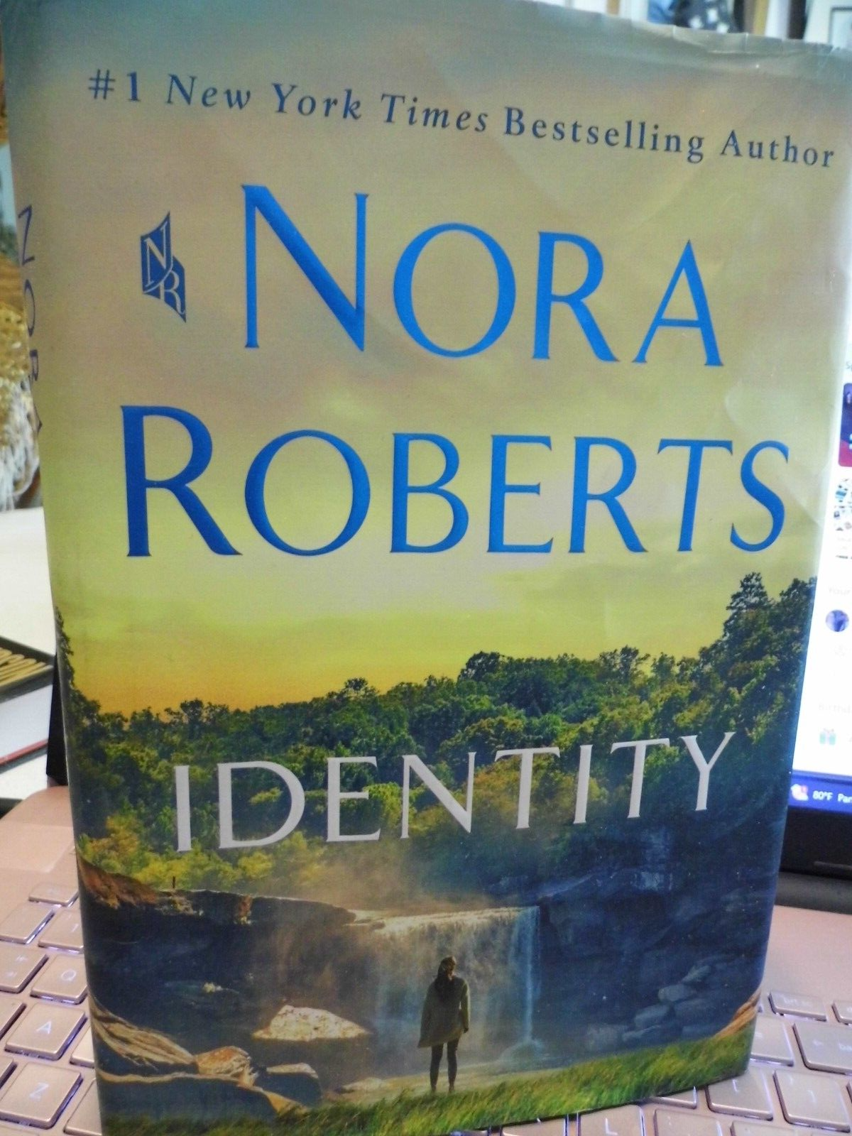 IDENTITY by NORA ROBERTS (2023, HARDCOVER, DUST JACKET  1ST Edition)