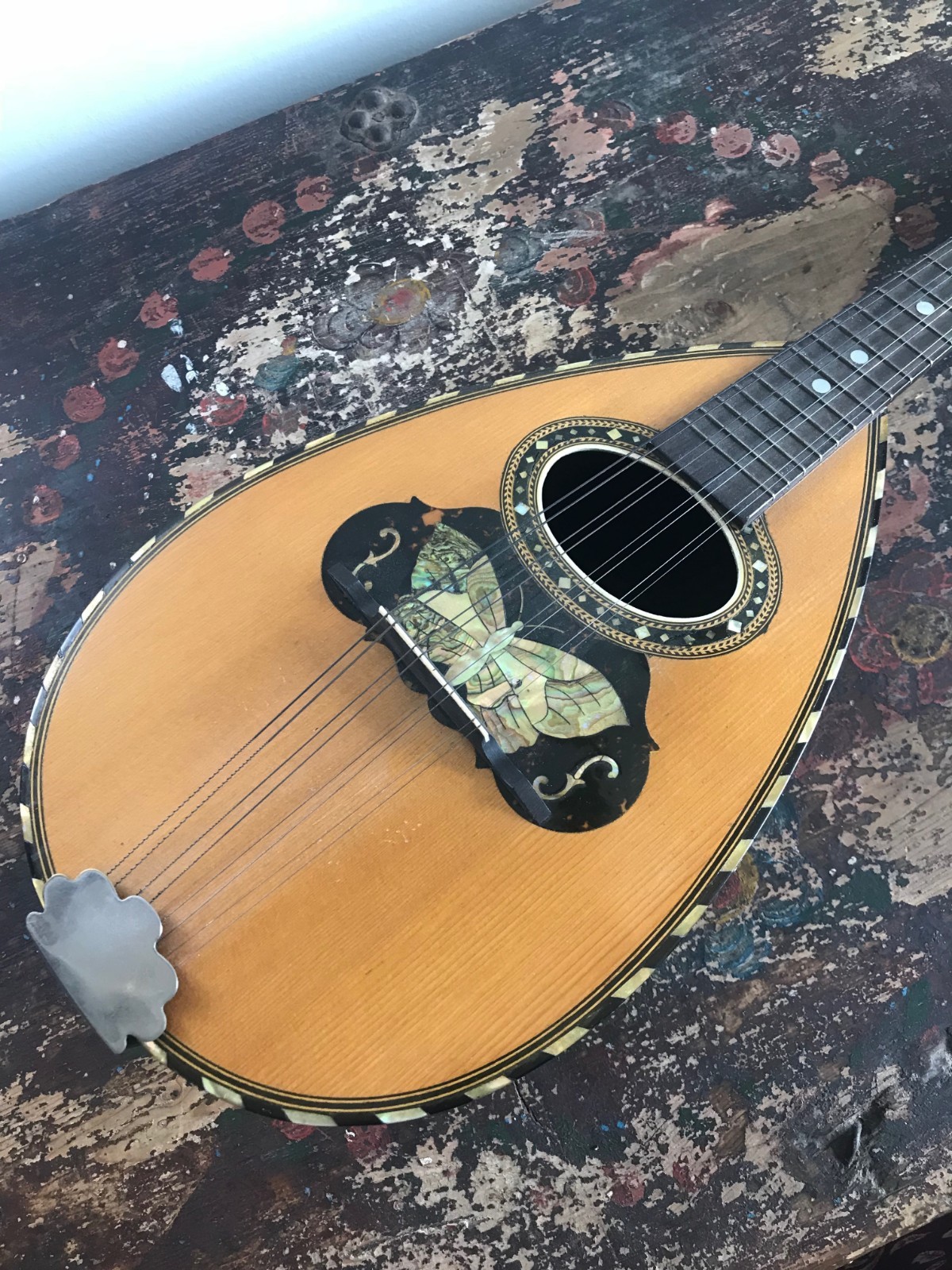 19th Century Fratelli Vinaccia Bowl Back Mandolin Lute Beautiful Shell Inlay