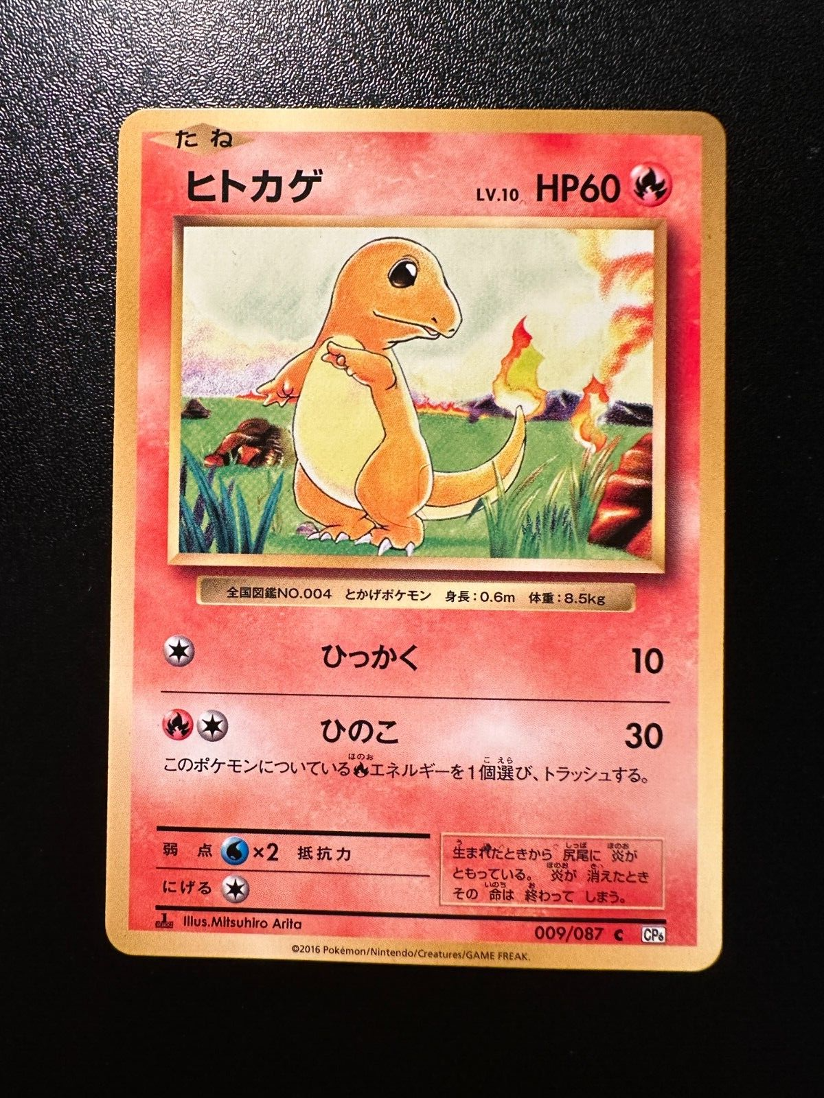 Q*R様 ヒトカゲ PSA10 / CHARMANDER PSA 10 ヒトカゲ 2019年 Charmander SMP2 005/024