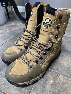irish setter ladyhawk 2000