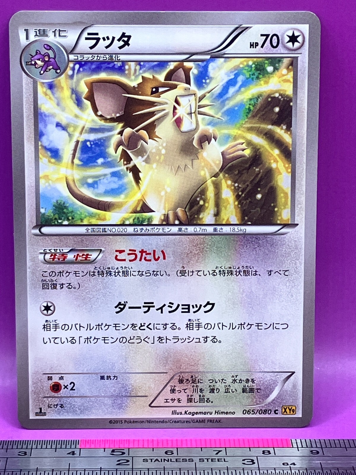 Raticate Pokemon Card 065/080 C XY9 2015 1st Ed Nintendo TCG