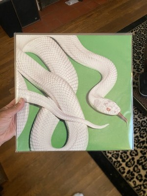 Fotos del artículo de un comprador verificado