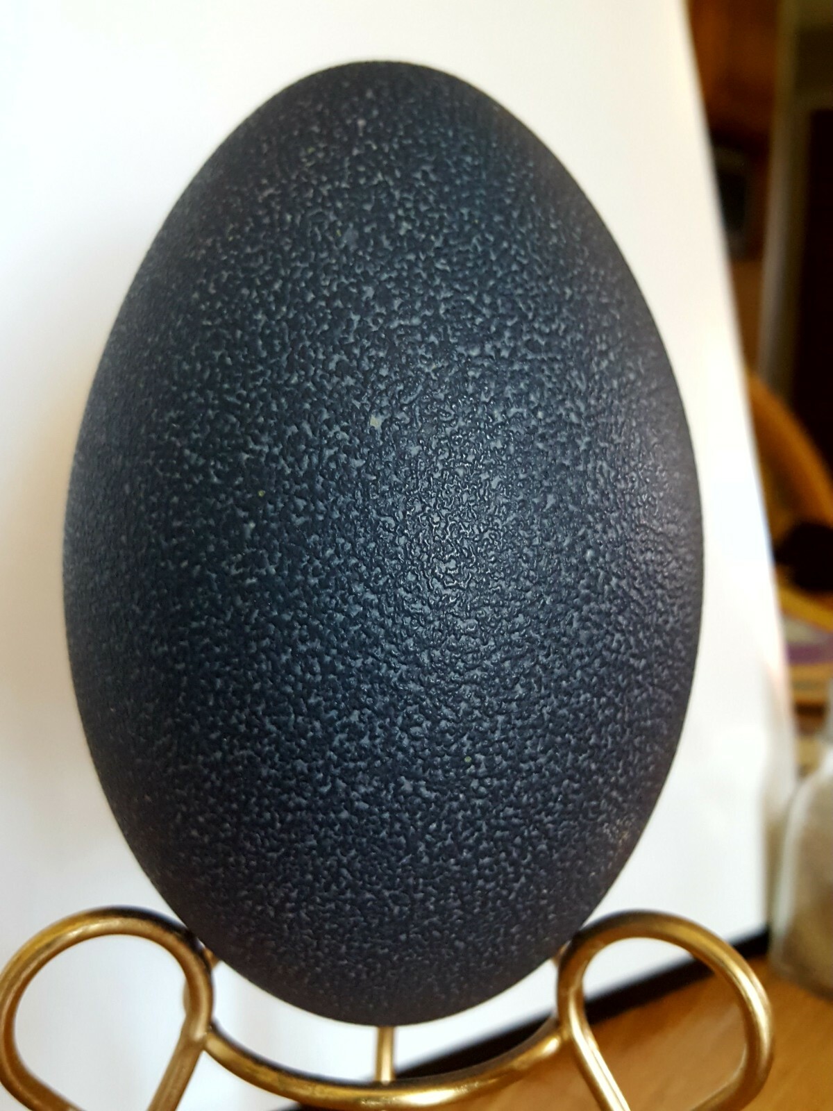 Emu Egg Blown for Crafts 5 1/4