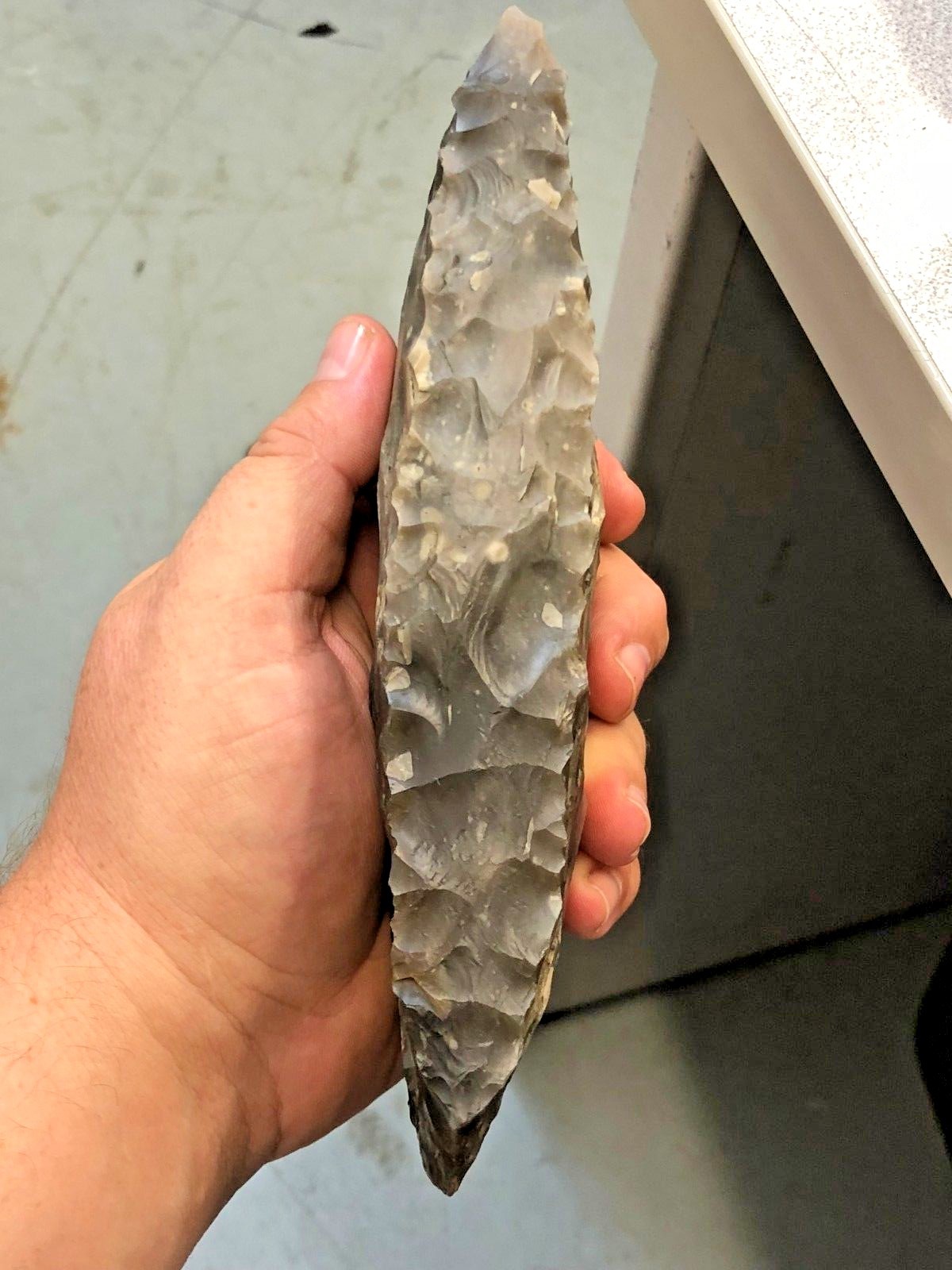 MUSEUM GRADE 7 7/8 LONG Danish Polished Flint Celt Adze Neolithic Stone Age Axe
