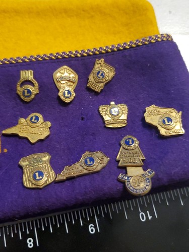 Vintage 1950's 60s Lions Club Hat & 16 Pins Washington attendance Zone Chair om