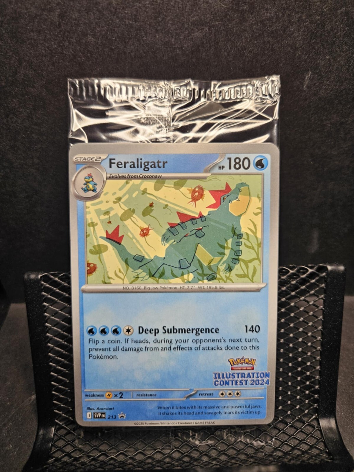 Pokemon TCG Illustration Contest 2024 Promo Sealed Set of 3