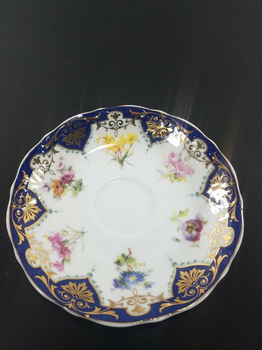 Andrea By Sadek Biltmore Estate Vanderbilt Collection Tea Cup and Saucer