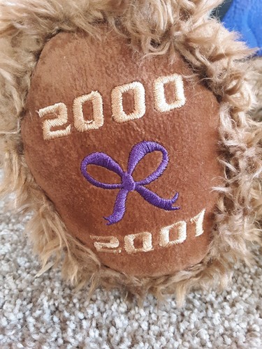 Gund collectors classic bear 26