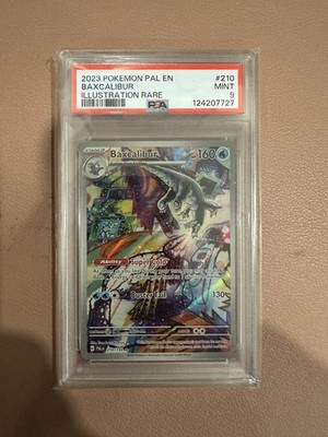 Foto dell'oggetto di un acquirente verificato